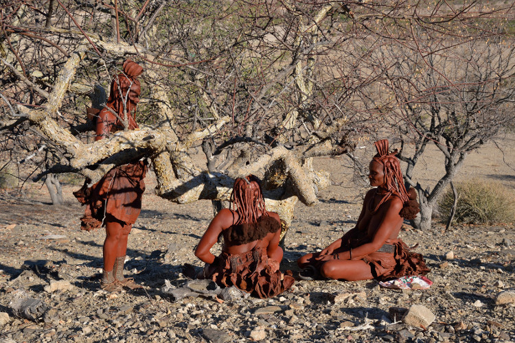 Himba_women_Commiphora_wildii_web.jpg